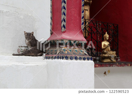 It's fine to take pictures, but please make sure the photo is taken by a beautiful person. 122590523