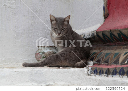 It's fine to take pictures, but please make sure the photo is taken by a beautiful person. 122590524