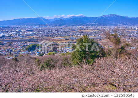 神奈川縣小田原市的梅林景觀（小田原市、白金山、二子山、箱根駒岳等） 122590545