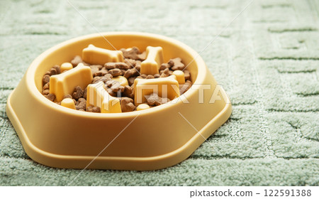 Slow feeder dog bowl preventing gulping and improving digestion Slow feeder dog bowl preventing gulping and improving digestion 122591388