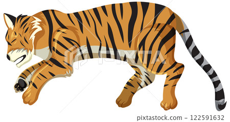 Top View of a Resting Tiger Top View of a Resting Tiger 122591632