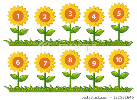 Numbered Sunflowers in a Row Numbered Sunflowers in a Row 122591649