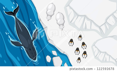 Arctic Wildlife and Biodiversity Illustration Arctic Wildlife and Biodiversity Illustration 122591678