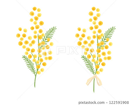 A hand-drawn illustration of a mimosa with a gentle touch A hand-drawn illustration of a mimosa with a gentle touch 122591908