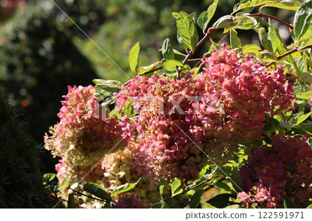 A day when it was wet 122591971