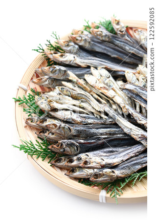 籃子裡的小乾魚（mezashi、niboshi） 122592085
