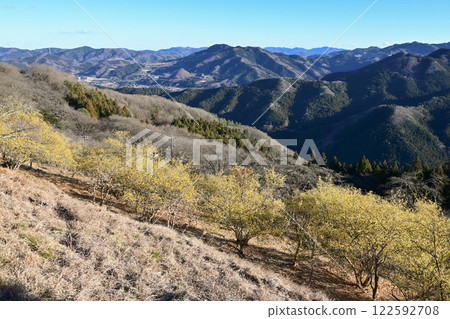 櫻山公園和蠟梅園 櫻山公園和蠟梅園 122592708