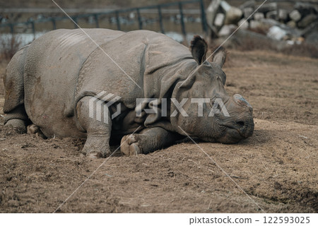 印度戒指 122593025