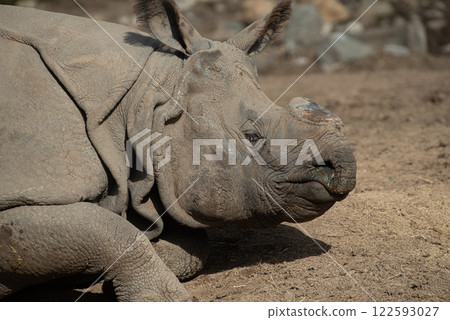 印度戒指 122593027