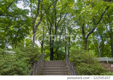 青森郡新鄉村基督之墓 122593207