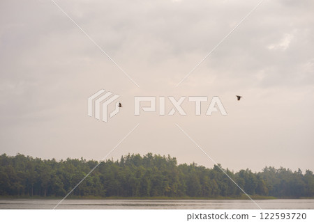 travel and people activity concept with cloud and sky  with bird and mountain and lake on foreground 122593720
