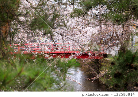 北海道壯瞥町壯川沿岸櫻花盛開【4月】 北海道壯瞥町壯川沿岸櫻花盛開【4月】 122593914