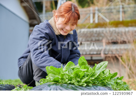 Woman working in the fields, country life, home garden Woman working in the fields, country life, home garden 122593967