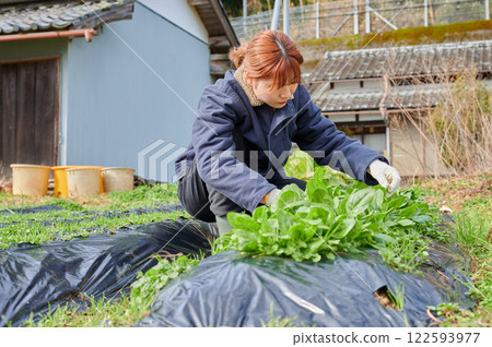 田間勞動的婦女、鄉村生活、家庭花園 122593977