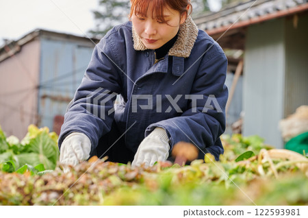 Woman working in the fields, country life, home garden Woman working in the fields, country life, home garden 122593981