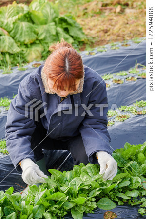田間勞動的婦女、鄉村生活、家庭花園 122594088