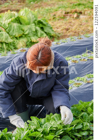 Woman working in the fields, country life, home garden 122594091