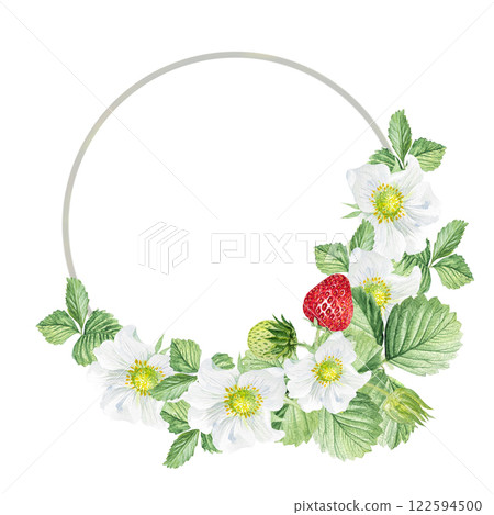 Watercolor frame of white flowers and strawberries. Beautiful frame with strawberry flowers, strawberries, leaves, hand drawn Watercolor frame of white flowers and strawberries. Beautiful frame with strawberry flowers, strawberries, leaves, hand drawn 122594500