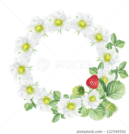 Watercolor frame of white flowers and strawberries. Beautiful frame with strawberry flowers, strawberries, leaves, hand drawn Watercolor frame of white flowers and strawberries. Beautiful frame with strawberry flowers, strawberries, leaves, hand drawn 122594502