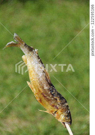 Salt-grilled salmon 122595166