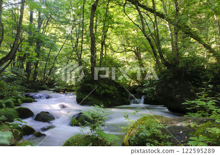 清晨的陽光灑進奧入瀨溪流 122595289