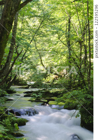 The morning sun shining through the Oirase Gorge 122595296