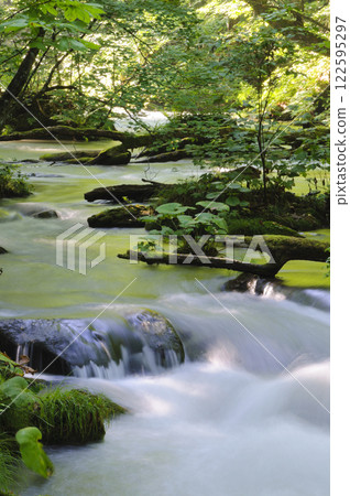 The morning sun shining through the Oirase Gorge 122595297