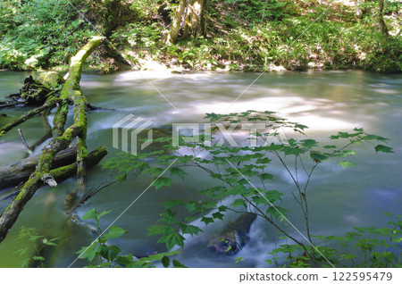 Oirase stream Oirase stream 122595479