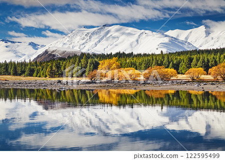 Lake Tekapo in New Zealand 122595499