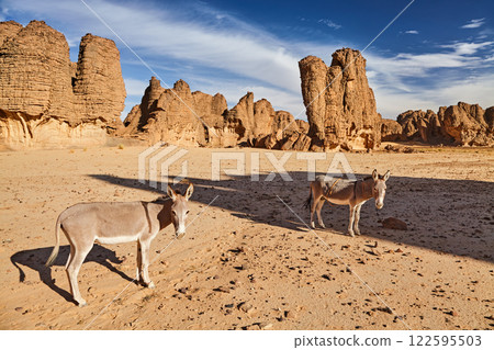 Sahara Desert, Tassili N'Ajjer, Algeria Sahara Desert, Tassili N'Ajjer, Algeria 122595503