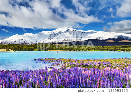 Lake Tekapo, New Zealand 122595553