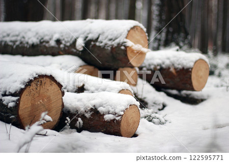 Snowy Log End Texture 122595771