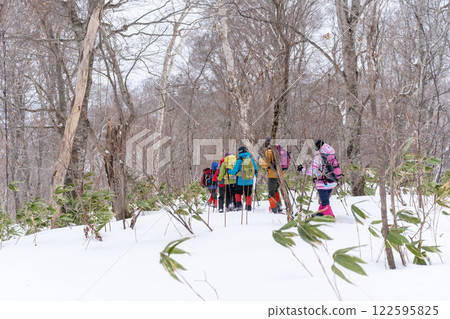 歌西町黑松內最北端的山毛櫸森林 歌西町黑松內最北端的山毛櫸森林 122595825