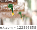 Snowy Stepping Stone Detail 122595858
