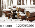 Snowy Log End Texture 122595860