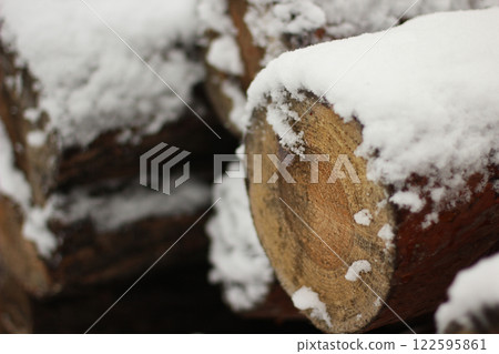 Snowy Log End Texture Snowy Log End Texture 122595861
