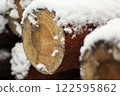 Snowy Log End Texture 122595862