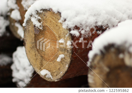 Snowy Log End Texture Snowy Log End Texture 122595862