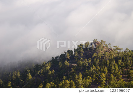 Mountain covered of forest. Mountain covered of forest. 122596097