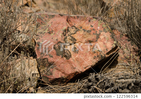 Stone in the Integral Natural Reserve of Inagua. 122596314