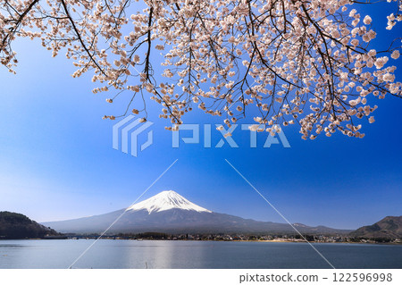 山梨縣河口湖町，從河口湖畔眺望富士山，櫻花盛開 122596998