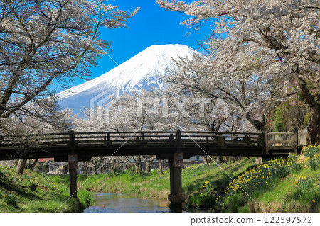 Oshino Hakkai Trail: Cherry blossoms in full bloom along the Shinnasho River and Mt. Fuji 122597572