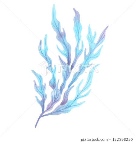 Blue underwater seaweed branch. Watercolor, marker illustration. Hand drawn isolated art. Marine botanical clipart of seaweed. Natural form of ocean flora. Suitable for ecology, health, travel themes. Blue underwater seaweed branch. Watercolor, marker illustration. Hand drawn isolated art. Marine botanical clipart of seaweed. Natural form of ocean flora. Suitable for ecology, health, travel themes. 122598230