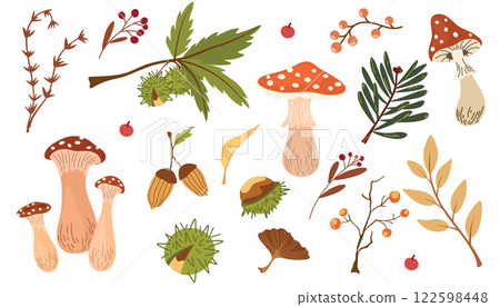 2213_autumn_foliage2 2213_autumn_foliage2 122598448