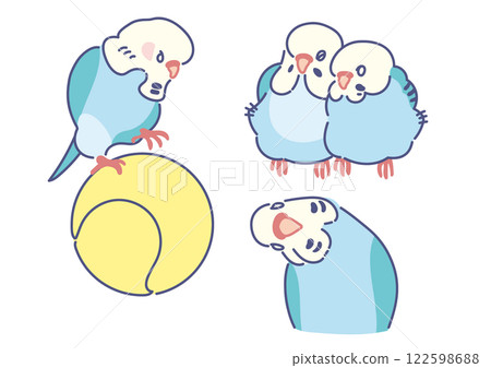 各式各樣的虎皮鸚鵡 各式各樣的虎皮鸚鵡 122598688