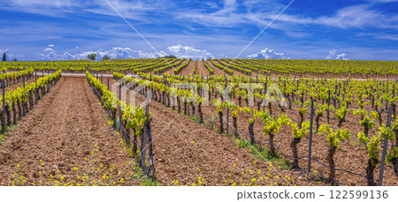 Valdepenas Vineyards, Spain 122599136