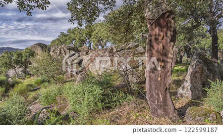 Protected Landscape Monte Valcorchero y Sierra del Gordo, Caceres, Spain 122599187