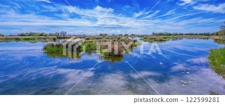 Tablas de Daimiel National Park, Spain 122599281