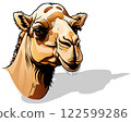 Camel Head 122599286