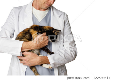Vet holding a cat pet isolated on white background Vet holding a cat pet isolated on white background 122599415
